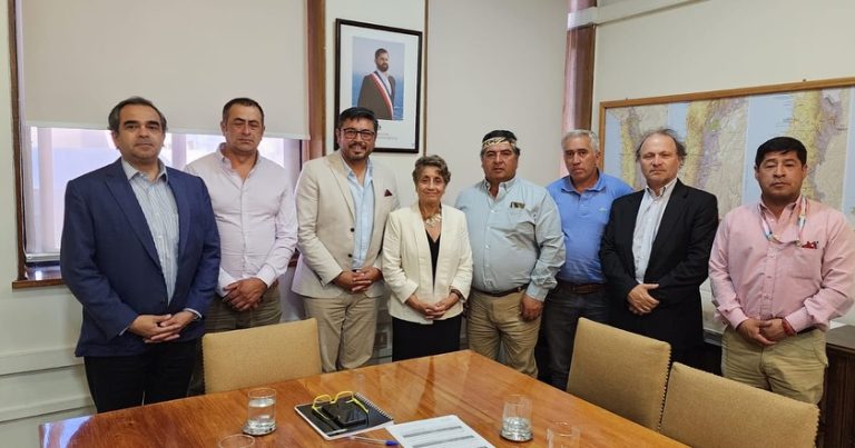 MINISTRA DE OBRAS PÚBLICAS CONFIRMÓ ASFALTO DE RUTA LONCOCHE – CALAFQUÉN QUE UNE A LA ARAUCANÍA LACUSTRE CON LOS RIOS.