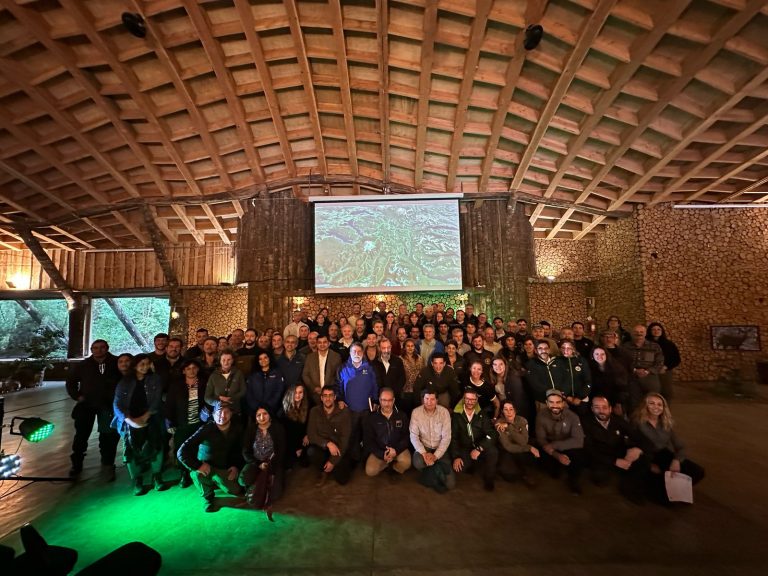 Impulsan primer Corredor Transnacional para el huemul en la Región de Los Ríos