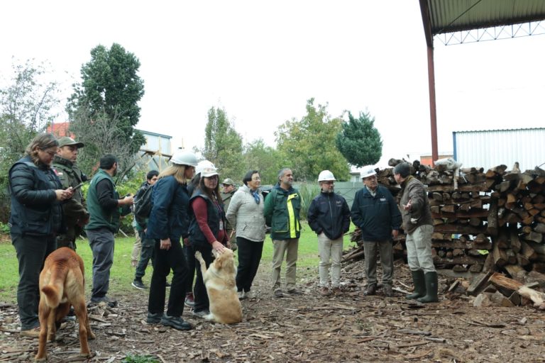 Valdivia da inicio a nuevo ciclo de fiscalización de leña, una herramienta clave en la lucha contra la contaminación atmosférica