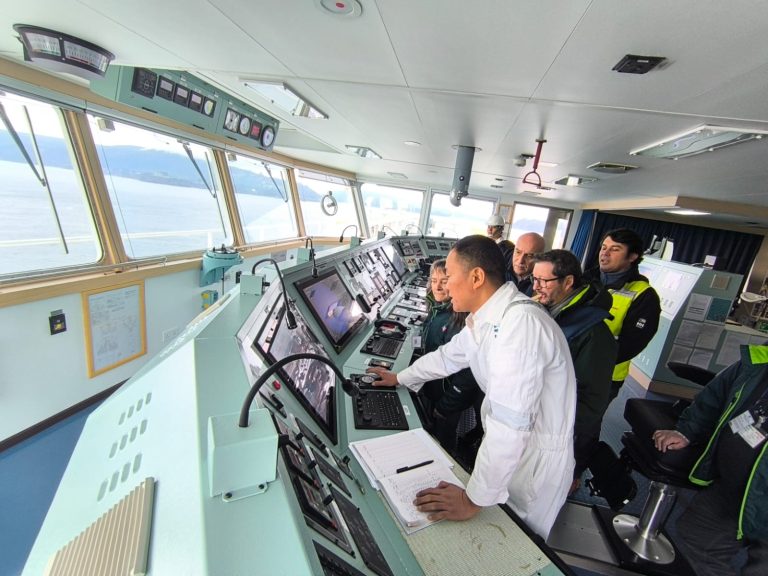 Inspeccionan nave proveniente de China en Puerto de Corral