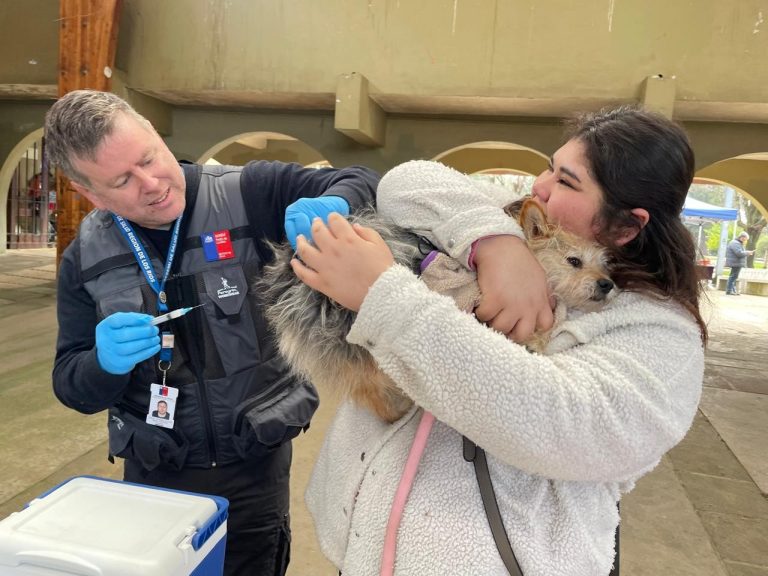 OPERATIVO DE VACUNACIÓN ANTIRRÁBICA EN VALDIVIA CONMEMORARÁ EL DÍA MUNDIAL CONTRA LA RABIA