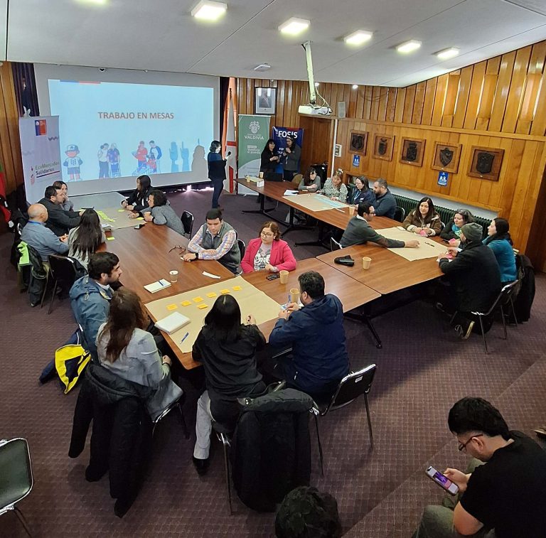 Consejo Local del EcoMercado Solidario refuerza la gestión comunitaria en Valdivia