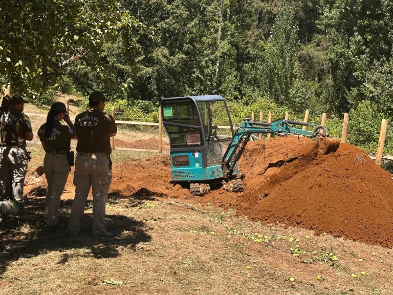 Tribunal mantuvo prisión preventiva a principal imputado por parricidio de Julia Chuñil
