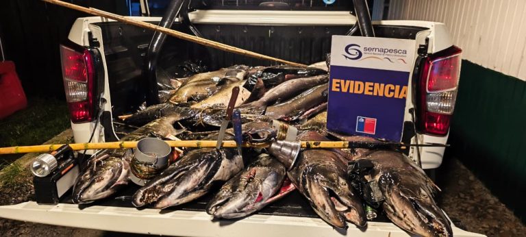 Fiscalización conjunta en aguas continentales de Los Ríos permite detectar pesca ilegal infraganti