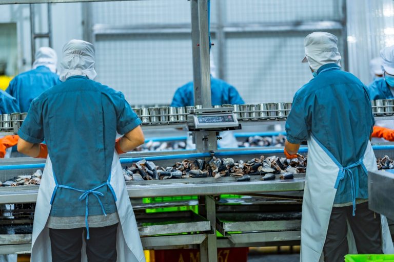 Entra en vigencia norma que regula las emisiones de olor del sector pesquero y beneficiará a más de 138 mil personas en 11 regiones