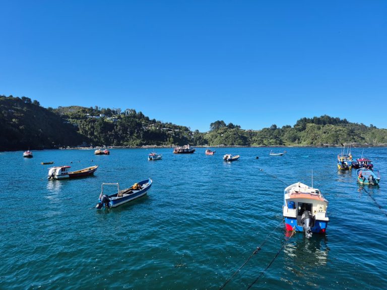 Sernapesca llama a pescadores y pescadoras a revisar su situación en el registro pesquero artesanal para evitar caducidad