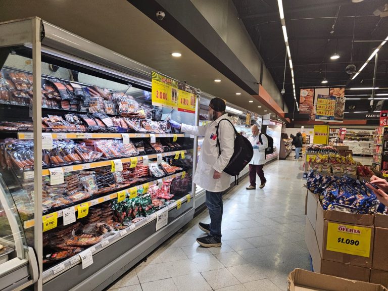 SEREMI de Salud realizó 294 fiscalizaciones durante Fiestas Patrias y decomisó cerca de 1.900 kilos de alimentos