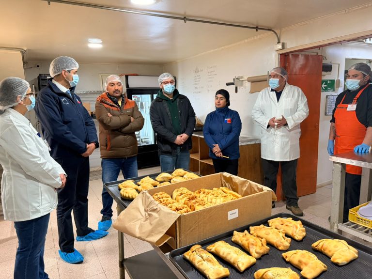 SEREMI de Salud inicia despliegue especial de fiscalización por Fiestas Patrias en Los Ríos